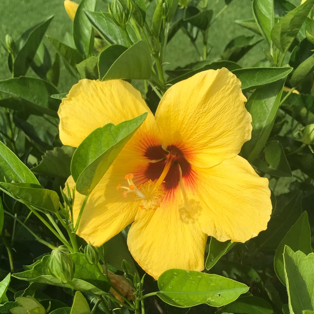 Meet your Posher, Katherine